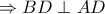 \Rightarrow BD\perp AD \Rightarrow BD\perp AD