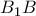 B_1B B_1B