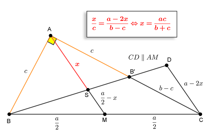 shape2.png