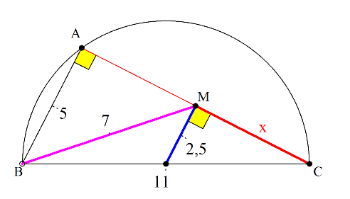 Ακεραία διάμεσος.png