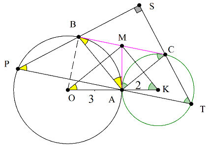 Πλευρώτους _b.png