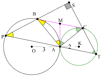 Πλευρώτους _a.png