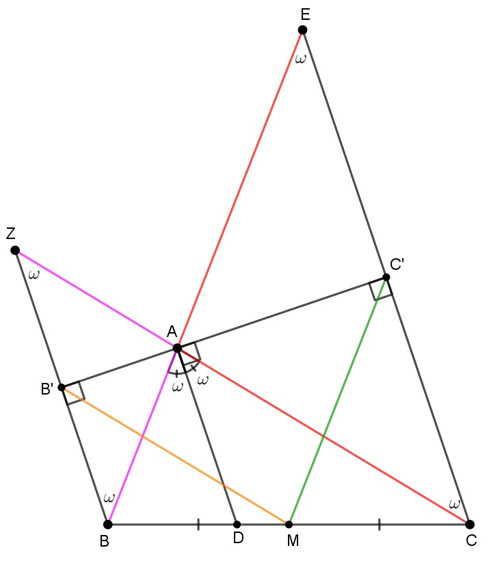 shape.jpg