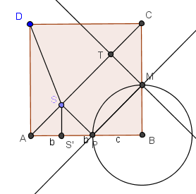 SX2.png