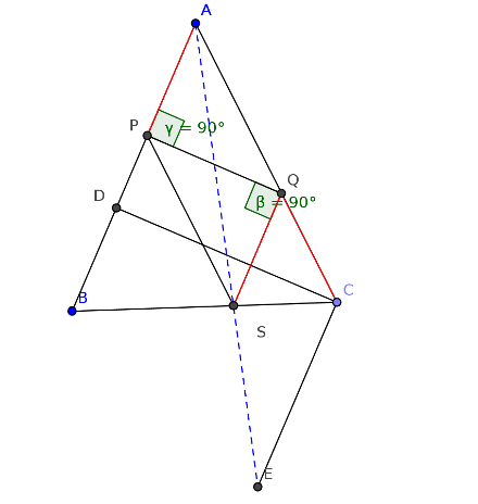orthotita3.png