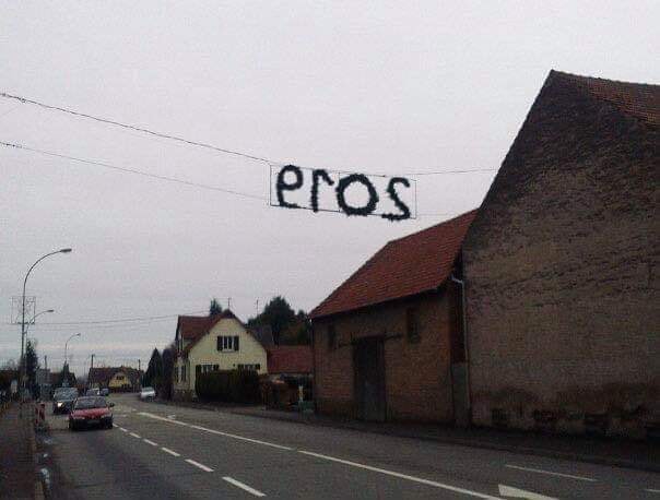 eros2019.jpg
