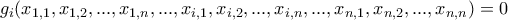 g_{i}(x_{1,1},x_{1,2},...,x_{1,n},...,x_{i,1},x_{i,2},...,x_{i,n},...,x_{n,1},x_{n,2},...,x_{n,n})=0