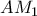 AM_1