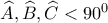 \widehat{A},\widehat{B},\widehat{C}<90^0