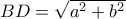BD=\sqrt {a^2+b^2} 