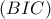 \left ( BIC \right )