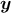 {\boldsymbol y}