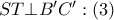 ST\bot {B}'{C}':\left( 3 \right)