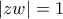 |zw|=1