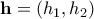 \mathbf{h}=(h_{1},h_{2})
