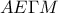 AE\Gamma M