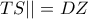 TS ||=DZ