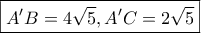 \boxed{A'B=4\sqrt 5, A'C=2\sqrt 5}