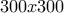 300x300