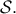 \mathcal{ S}.