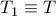 T_1\equiv T T_1\equiv T