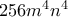 256m^4n^4