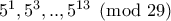\rm 5^1,5^3,..,5^{13}\pmod{29}