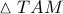 \vartriangle TAM