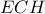 \displaystyle 
ECH