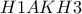 H1AKH3