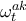\omega_t^{ak}
