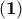 \left(\mathbf{1} \right)