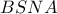 BSNA