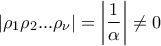 \displaystyle{\displaystyle \left| {{\rho _1}{\rho _2}...{\rho _\nu }} \right| = \left| {\frac{1}{\alpha }} \right| \ne 0}