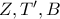 Z,T',B