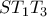 ST_1T_3