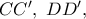 CC',\ DD',