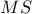 \displaystyle MS