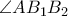 \angle AB_1B_2