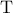 \displaystyle{ 
{\rm T} 
}