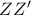 ZZ'
