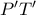 P'T'