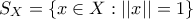 \displaystyle{S_{X}=\left\{x\in X: ||x||=1\right\}}
