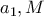 a_1,M