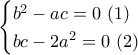 \displaystyle{\begin{cases}b^2-ac=0 ~(1)\\bc-2a^2=0~(2) \end{cases}}