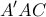 \displaystyle{ 
A'AC 
}