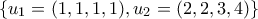 \left\{u_{1}=(1,1,1,1),u_{2}=(2,2,3,4) \right\}