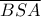 \overline {BSA} 
