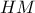 \displaystyle{HM}
