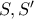 S,S'